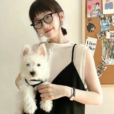 派特和麦特:再度出击